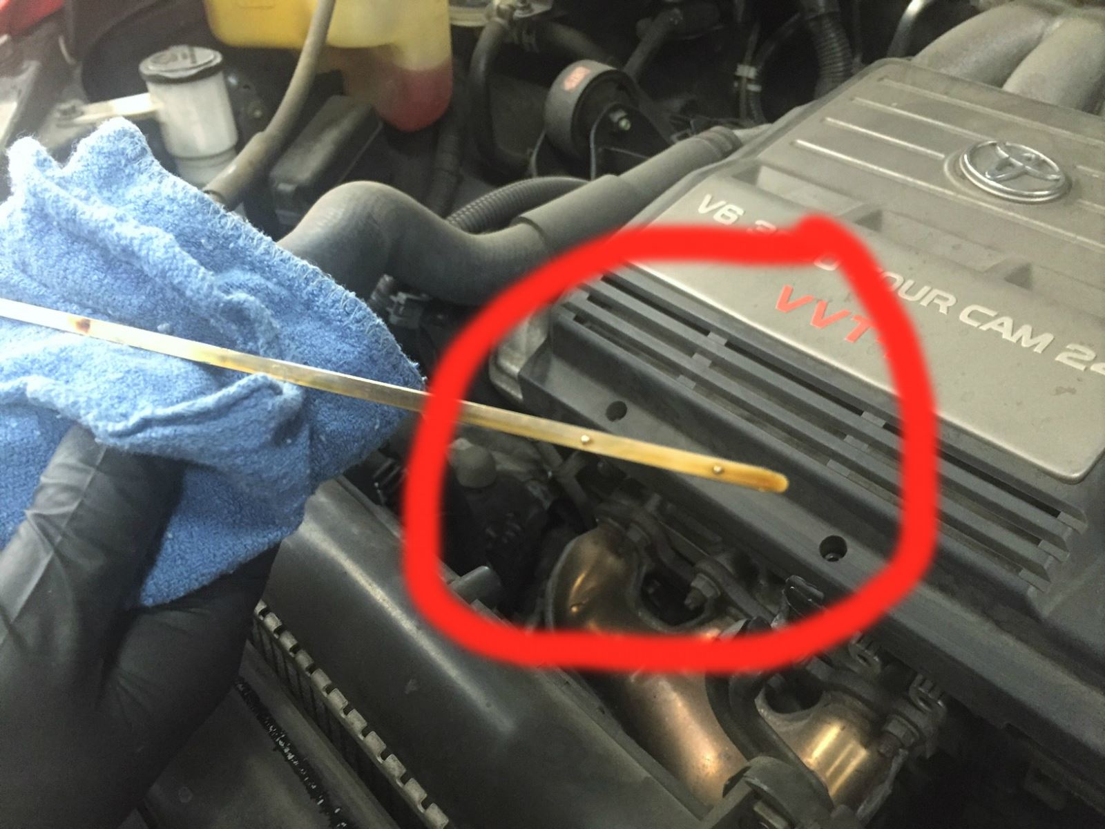 Look for the full and low mark on the engine oil dipstick